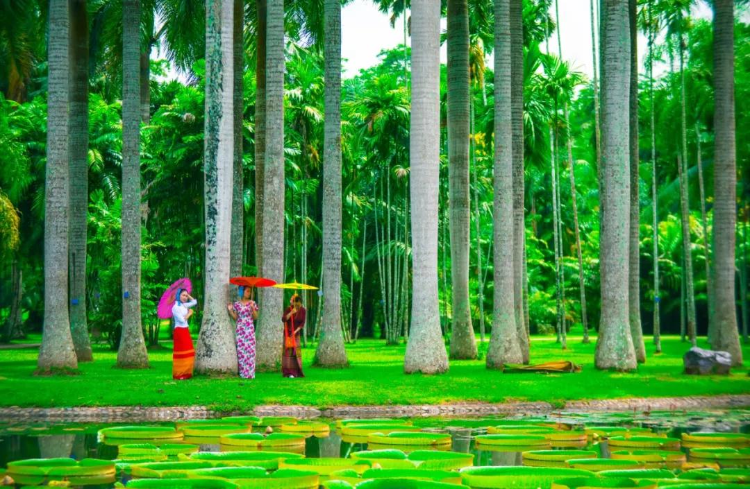 西雙版納 西雙版納