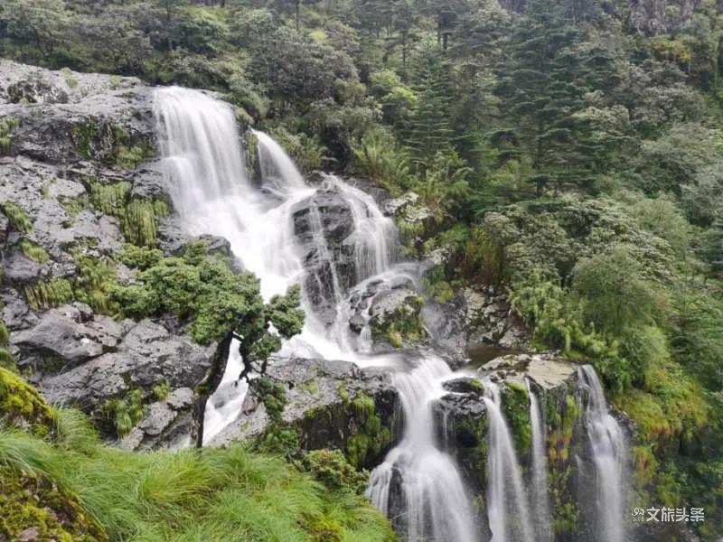 去不了遠(yuǎn)方，快來(lái)離春城最近的轎子雪山玩耍！吃住游玩樣樣齊！