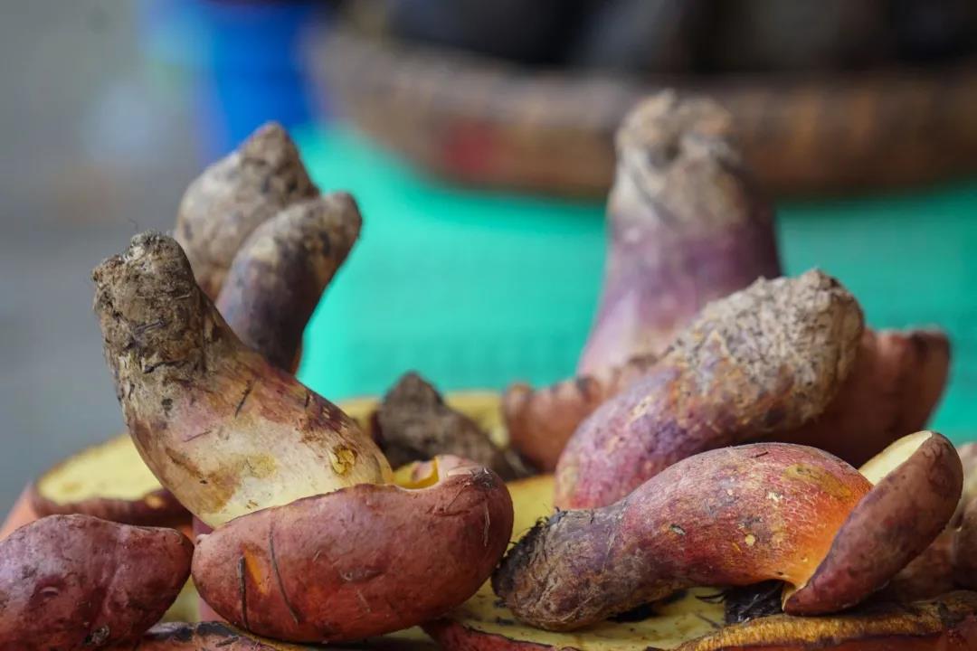 云南人的餐桌有多豐富，生態(tài)滇味等你打卡！  昆明傳媒公司