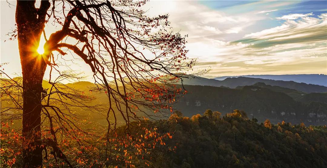 云南的秋天在哪里，它最先抵達(dá)了這里     昆明傳媒公司