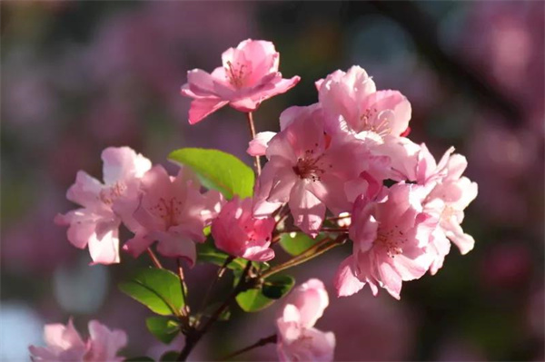 擇一城，愛一生，昆明，絕對是你不錯的選擇！