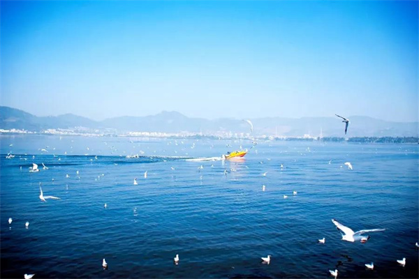 想偷半日浮生閑？來昆明看天、看湖、看雪景|春城冬韻·美景