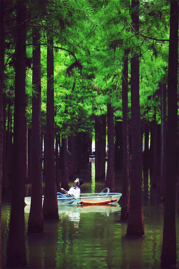 云南旅游,云南旅行社,云南團(tuán)建公司,云南策劃公司,云南會(huì)議會(huì)展,昆明旅游,昆明旅行社,昆明團(tuán)建公司,昆明策劃公司：下午四點(diǎn)的撈漁河森林游船 真是人類光合作用必去清單